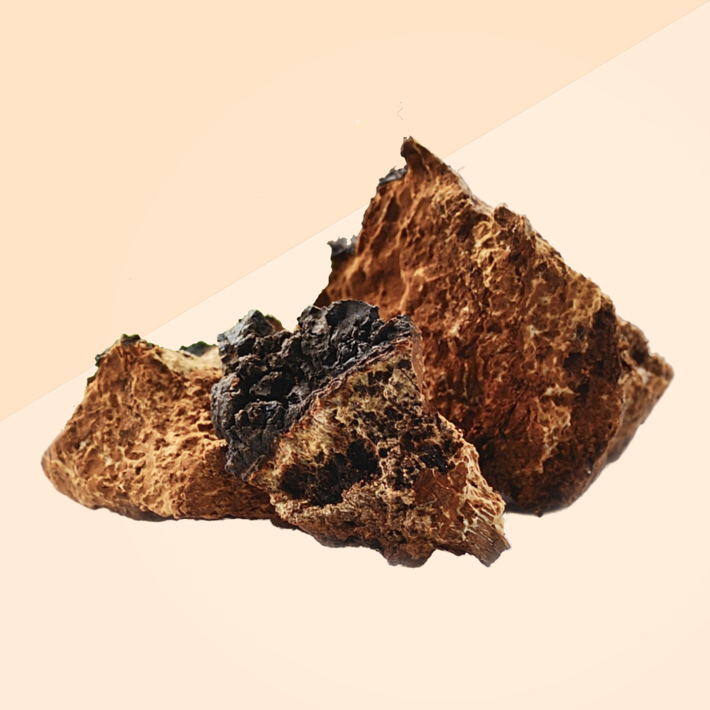 Chaga ekstrakti tinktuur 50ml