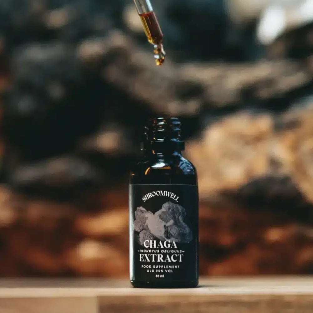 Chaga ekstrakti tinktuur 30ml