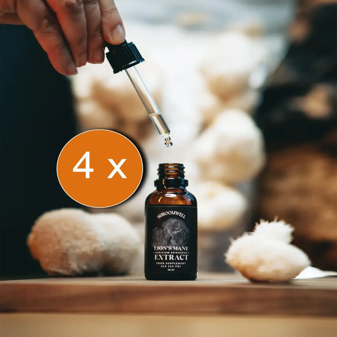 KOMBO Lion's Mane Tinktuur 4x30ml